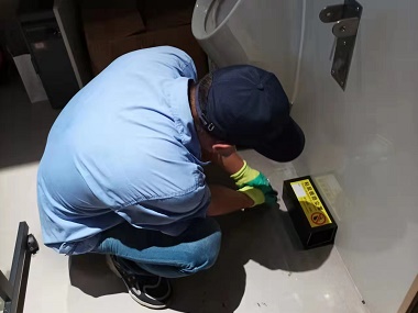 正果除四害机构厂区车间、配电房怎么灭鼠？