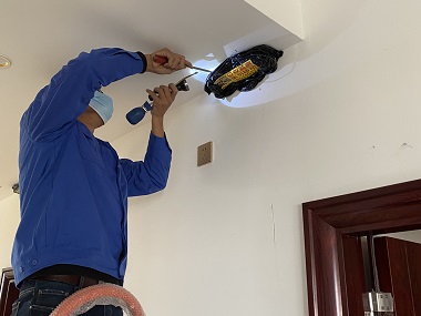 仙村白蚁备案站冬天灭白蚁的最佳时机