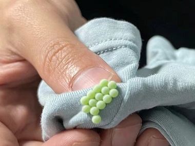 增城有害生物防控公司科学防治：三步彻底除臭虫